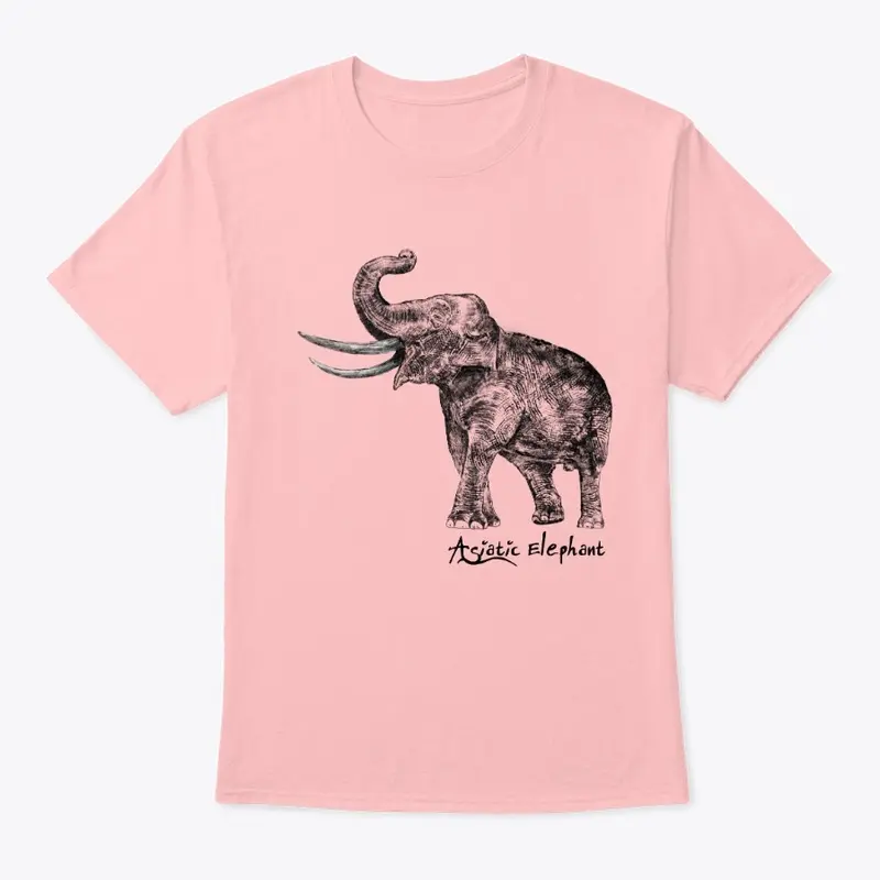 Asiatic Elephant Hand Drawn by Marcus